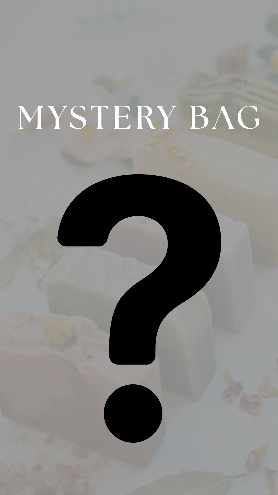 Large Mystery Bag